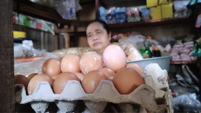 
 Harga Telur Ayam Ras Dan Cabai Naik Di Pacitan Menjelang Ramadhan
