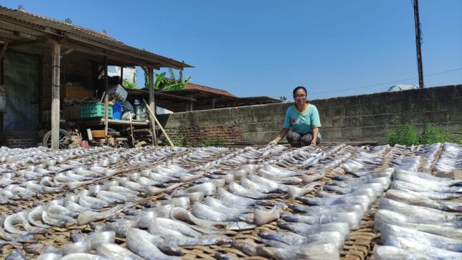 
 Lezatnya Bisnis Ikan Asin, Raup Cuan Ratusan Juta Per Bulan