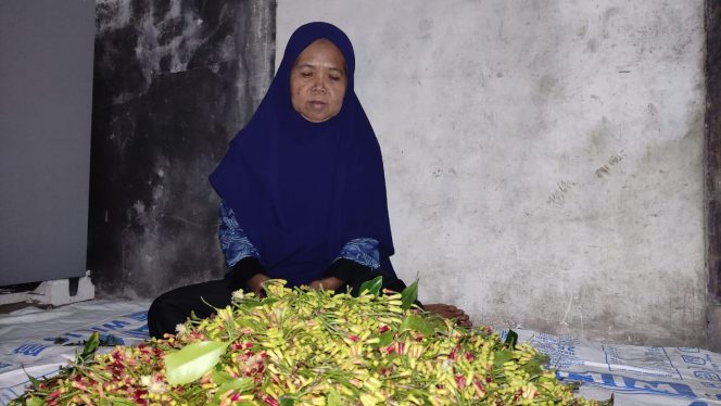 
 Harga Cengkeh Anjlok, Petani di Pacitan Kian Merugi