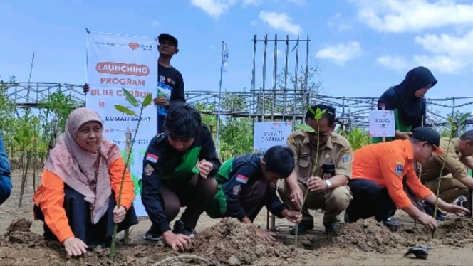 
 Launching Blue Carbon Warriors, Rumah Zakat Perkuat Ekosistem Mangrove di Pacitan