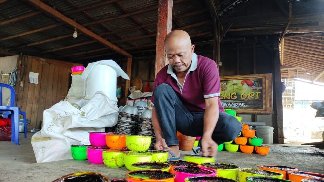 
 Potensi Ekonomi Janggelan di Kecamatan Bandar Pacitan Meningkat Tajam