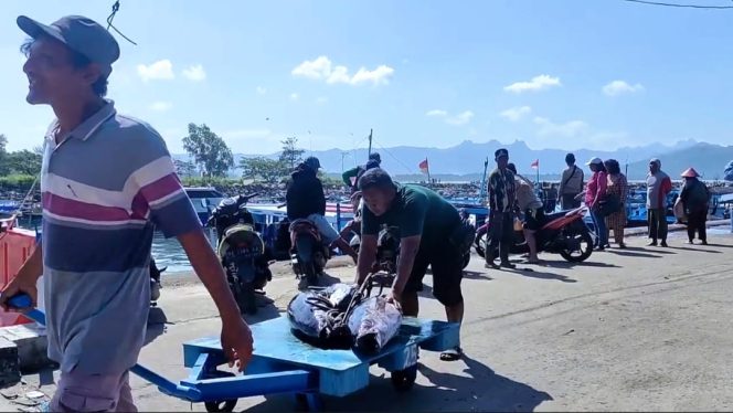 
 Pemerintah Kabupaten Pacitan Prioritaskan Perlindungan Sosial Bagi Ribuan Nelayan