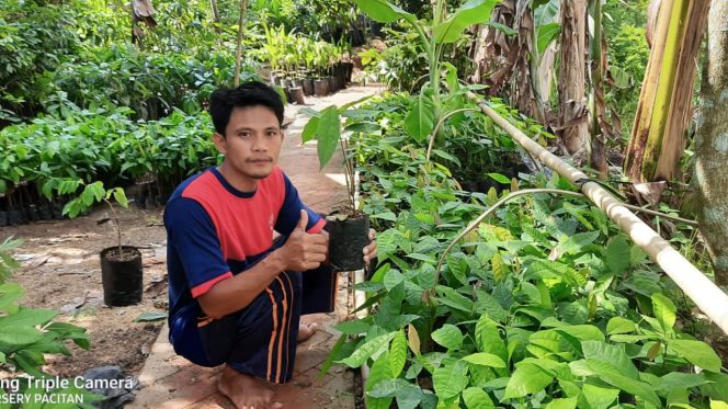 
 Musim Penghujan Bawa Berkah bagi Penjual Bibit Pertanian di Desa Pelem, Pacitan