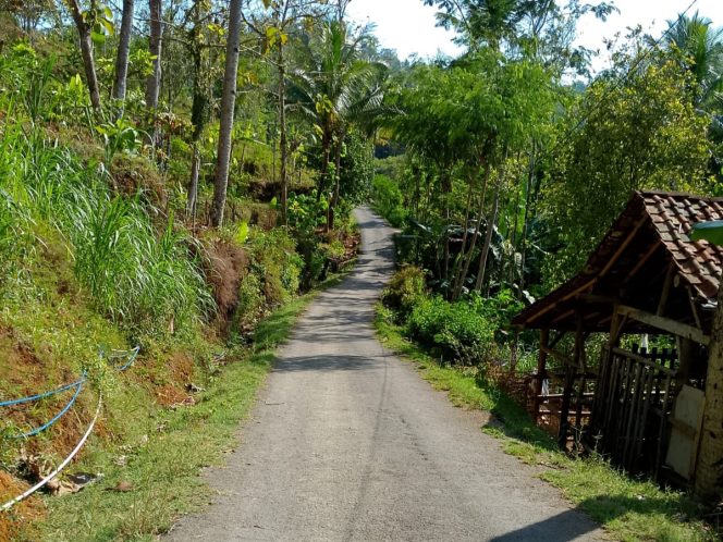 
 Pemkab Pacitan Genjot Pembangunan di Kecamatan Perbatasan Sudimoro
