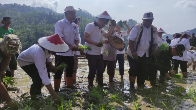 
 Budiman Sudjatmiko Menanam Benih Padi di area Persawahan Desa Kebonagung (Foto: Trinoto) 