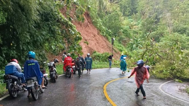 
 Sejumlah Pengendara Terhalang Pohon Tumbang di Wonogondo, Kebonagung (foto: istimewa) 