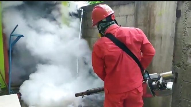 
 669 Kasus DBD Melanda Pacitan di Akhir Tahun 2024, Dinkes Imbau Waspada