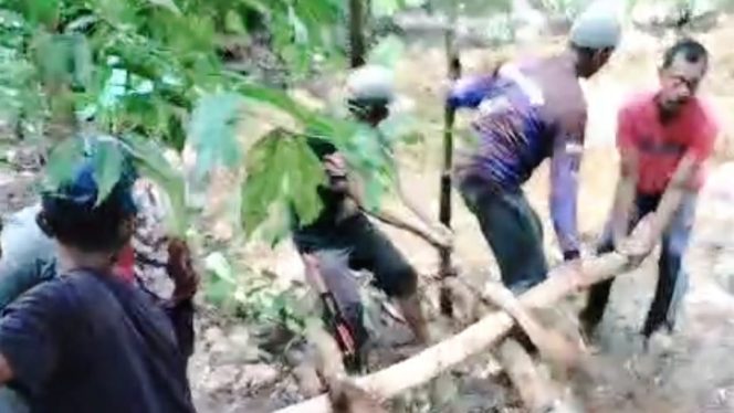 
 Wabah PMK Serang 37 Sapi di Sidomulyo, Kebonagung, Dua Mati, Dua Disembelih