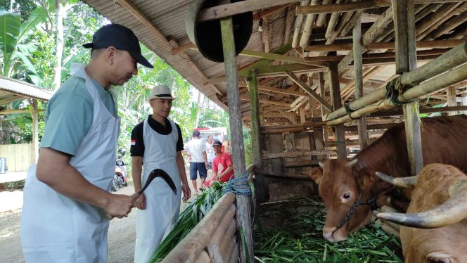 
 Gebrak Kandang di Ngadirojo, Upaya Bersama Tangani PMK pada Ternak