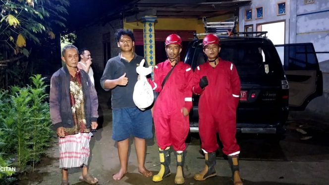 
 Damkar Pacitan Evakuasi Ular Sanca di Kandang Ternak Warga Sedeng