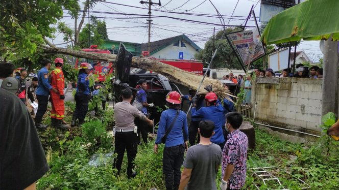 
 Diduga Mengantuk Mobil Pengangkut Tabung Oksigen Tabrak Pohon, Kenek Tewas Terjepit