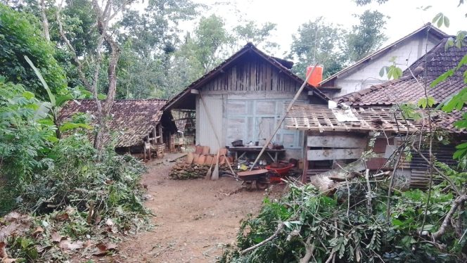 
 Angin Kencang , Rumah Warga Donorojo Rusak Tertimpa Pohon