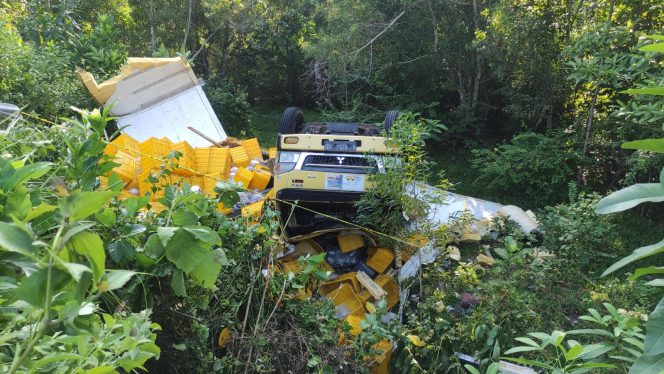 
 Diduga Rem Blong, Truk Bermuatan 19.000 Benih Udang Vaname Terjun ke Jurang di Kebonagung
