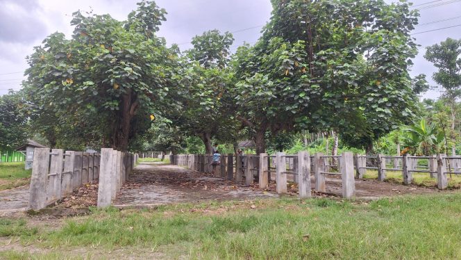 
 Pasar Hewan Pacitan Sepi di Hari Pertama Dibuka