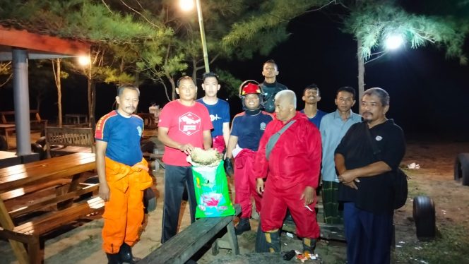 
 Bahayakan Wisatawan, Sarang Tawon Vespa Sebesar Kepala Kerbau Di Evakuasi Damkar