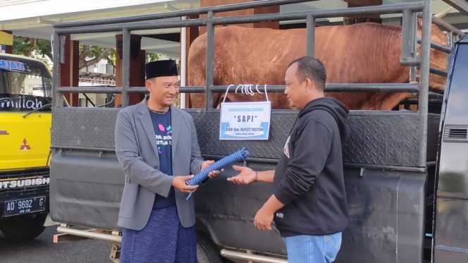 
 Bupati Pacitan Kurban Satu Sapi dan 12 Kambing, Presiden Sumbang Sapi untuk Ponpes