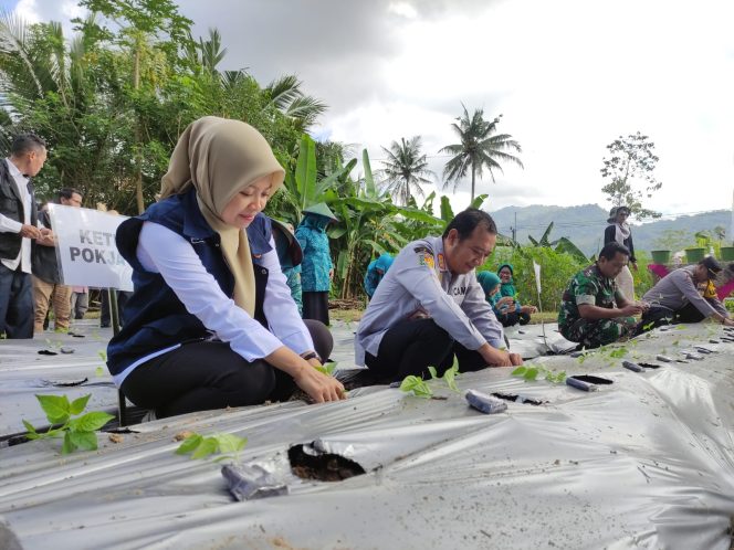 
 PKK dan TPID Pacitan Kendalikan Inflasi Lewat Gerakan Tanam Sayur dan Olah Hasil Perikanan