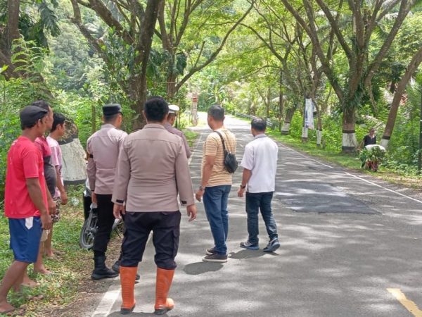Terperosok Jalan Berlubang, Ibu Muda Meninggal Dunia di Jalur JLS Pacitan