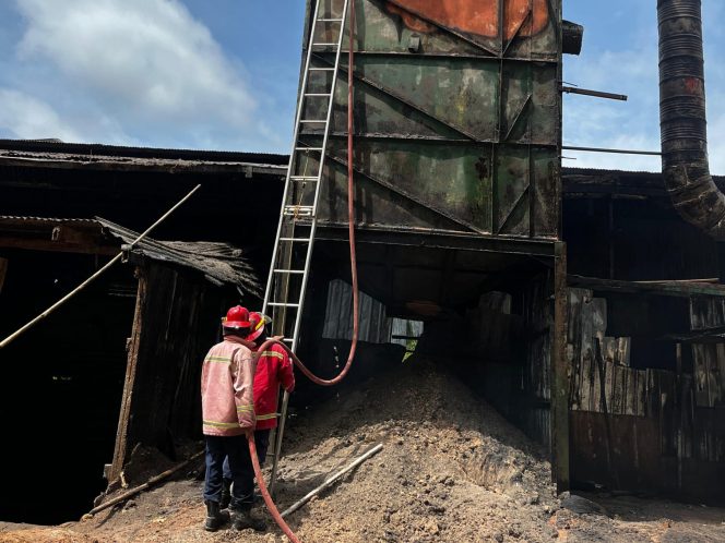 
 Gudang Serbuk Kayu di Pabrik Kayu Lapis Donorojo Pacitan Terbakar