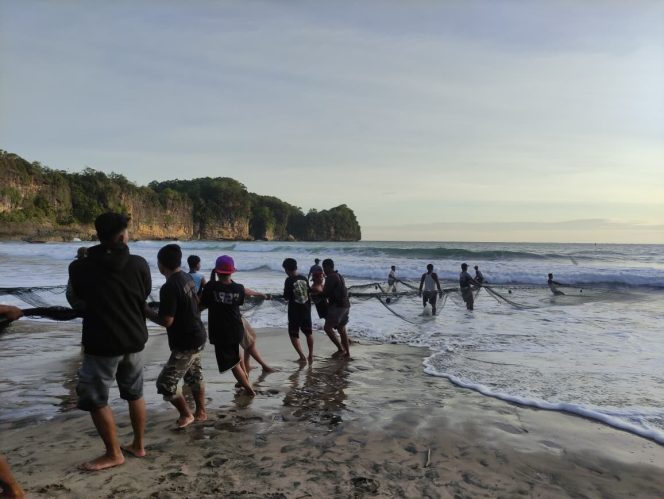 
 Gotong Royong Nelayan Pacitan Pertahankan Tradisi Tangkap Ikan Eretan