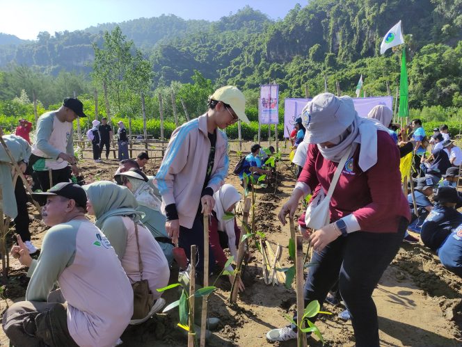 
 Peringati Hari Bumi, Sekolah Alam Pacitan Tanam 6.600 Mangrove di Watu Mejo