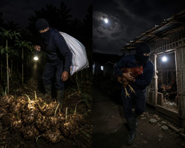 Warga Wonoanti Resah, Pencurian Porang dan Ayam Kampung Marak Terjadi