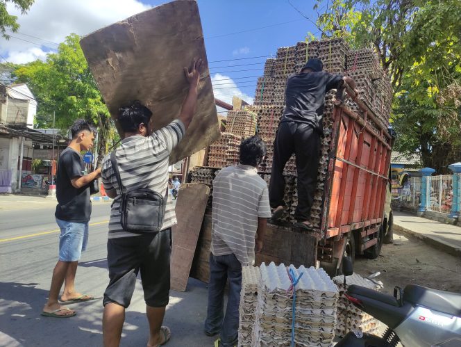 
 Harga Telur di Pacitan Anjlok, Peternak Lokal Kelimpungan Dihantam Pasokan dari Luar Daerah